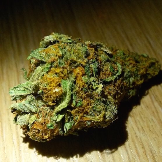 Cannabis Coffeeshops in Amsterdam