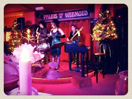 The dinner show at Paleis van de Weemoed includes live performance.
