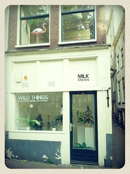 Milk Studios Wild Things in Amsterdam Red Light District