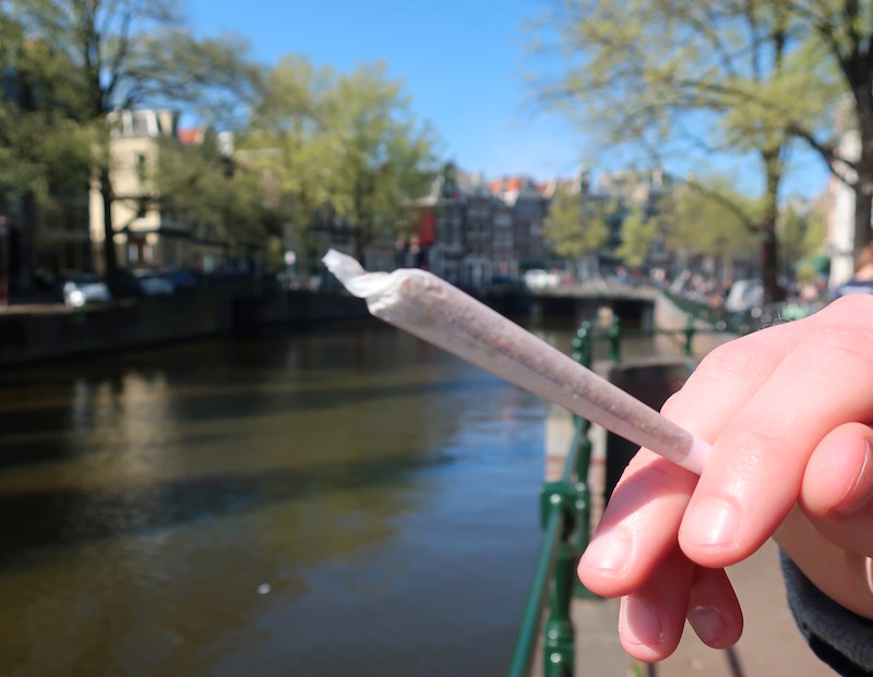 Weed Joint in Amsterdam Cannabis