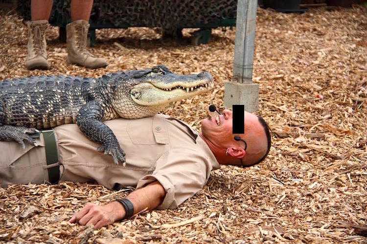 News: Crystal Meth In Amsterdam Protected By Gators!