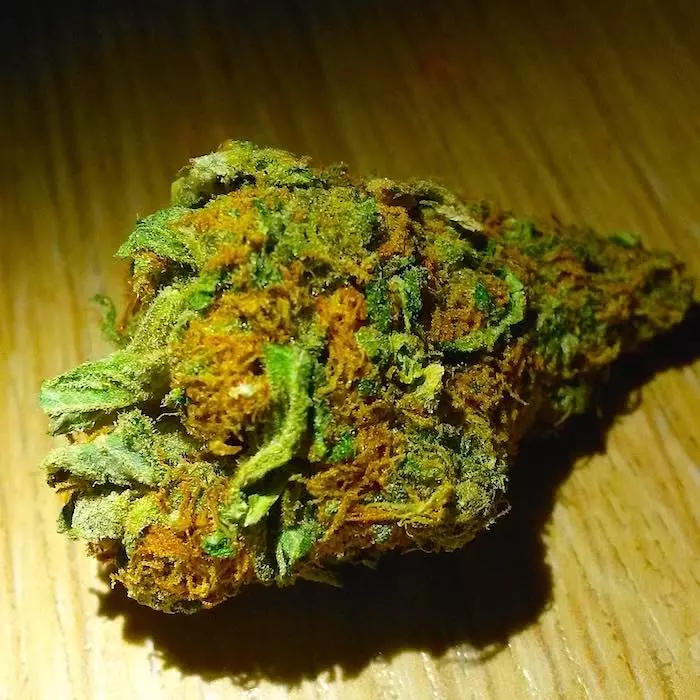 long term effect of cannabis weed
