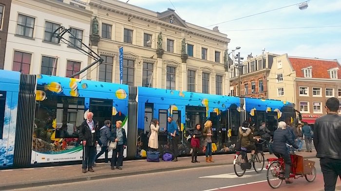Amsterdam Tram - Dutch Public Transport Tourist Pass