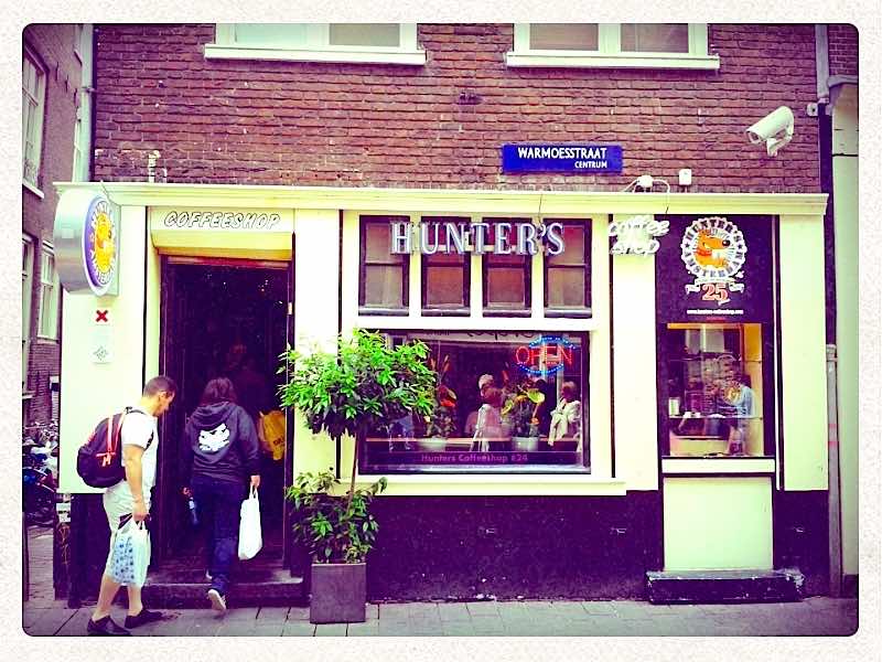 Decrease in Cannabis Coffee Shops in Holland