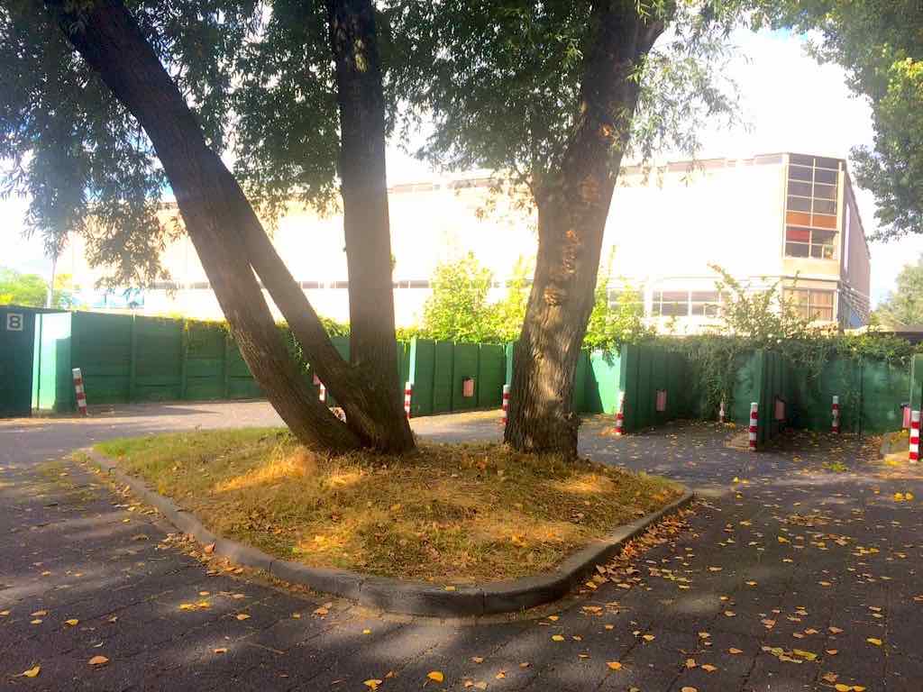 Street Prostitution in Holland An Interview With A