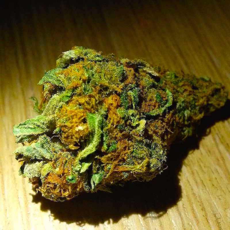 Weed Hash prices Amsterdam Red Light District