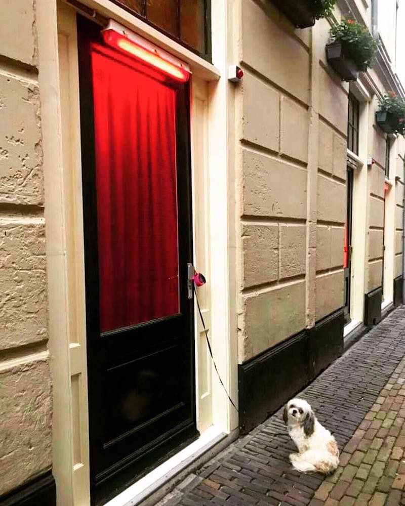 Best Red Light District Pictures