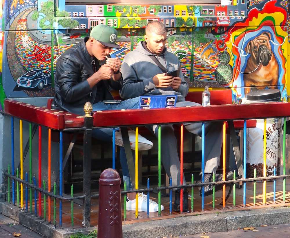 the bulldog coffeeshop weed