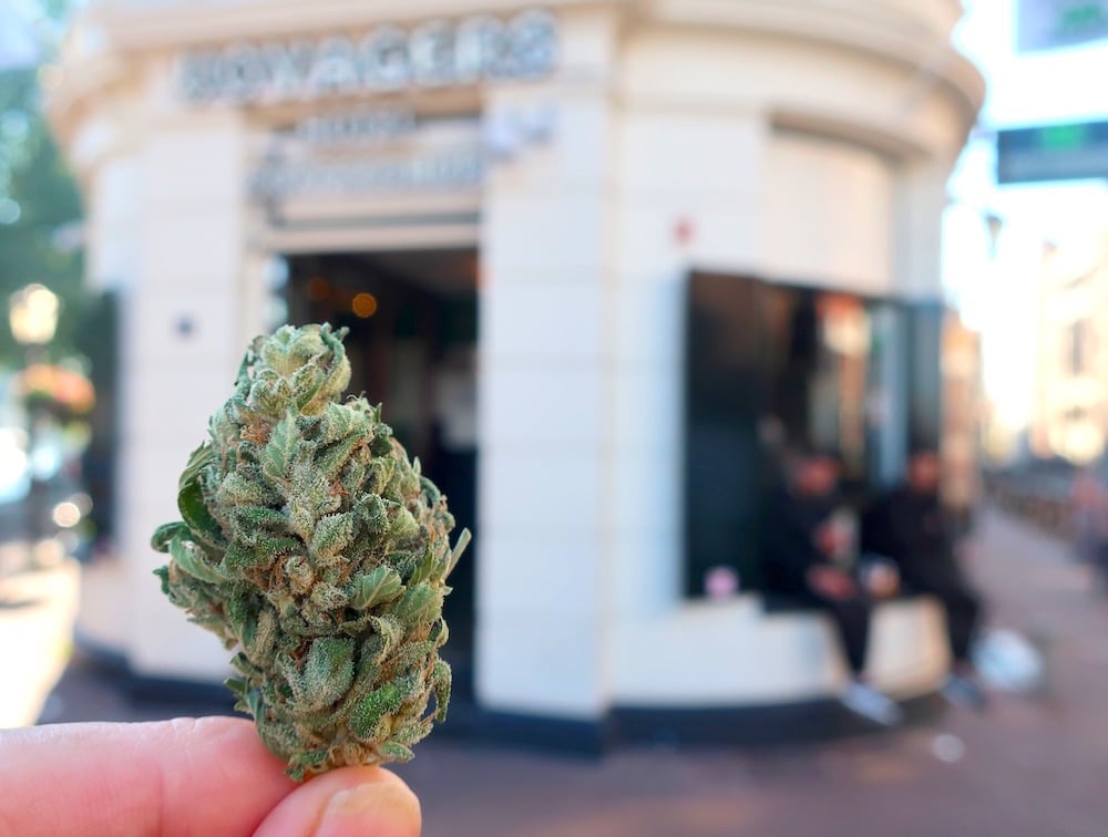 Amsterdam Coffeeshop Directory