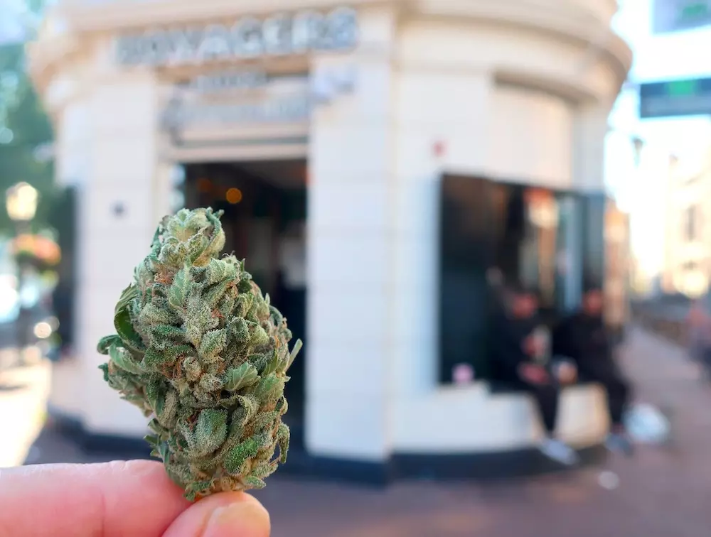 Amsterdam Coffeeshop Directory
