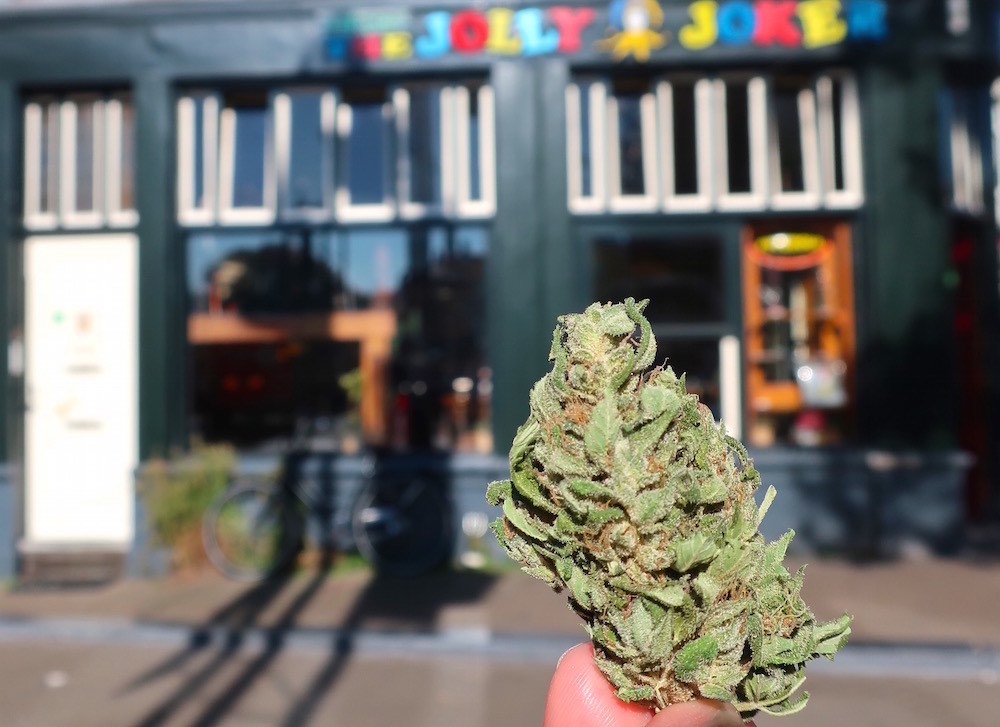 Amsterdam weed