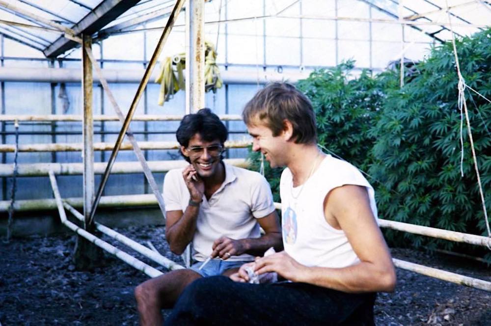 Ben Dronkers Cannabis