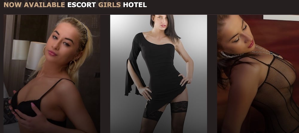 Escorts Amsterdam Hotel