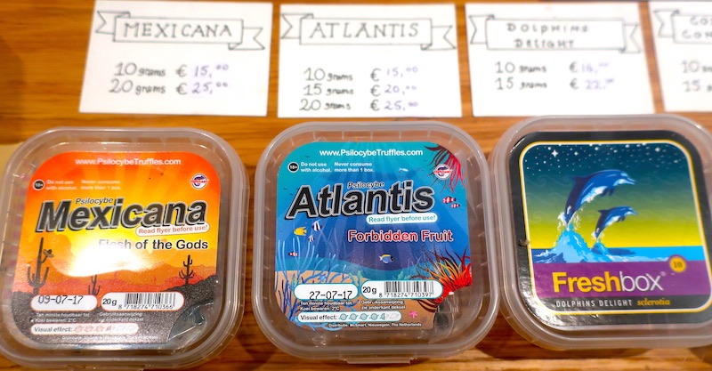 Magic Mushrooms Types Netherlands