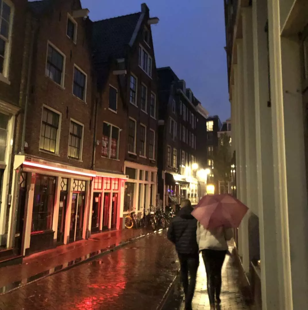 Red Light District window brothels and wet cobblestones on a rainy night in De Wallen, Amsterdam.